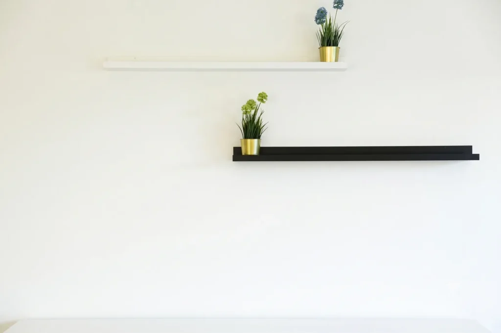 The same wall bare before the gallery is hung, two small plants on the shelves.