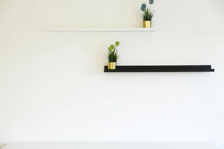The same wall bare before the gallery is hung, two small plants on the shelves.