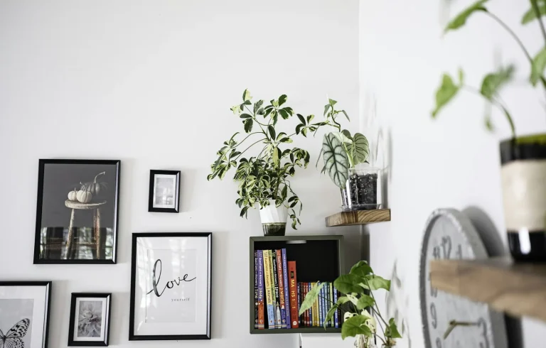 A wall arranged with framed prints, a slim shelf and trailing plants.
