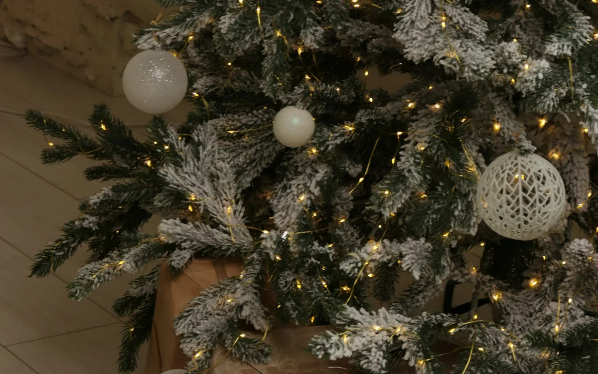 A decorated Christmas tree lit with warm lights, wrapped presents beneath it.